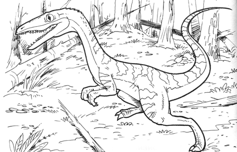 Coelophysis Bauri Dinosaur Coloring Page